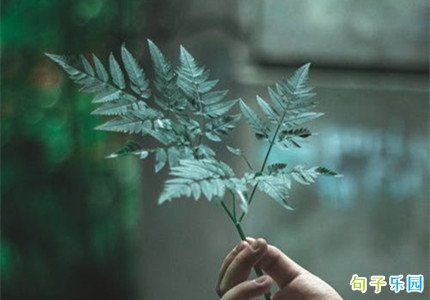 高境界经典文案 境界非常高的句子