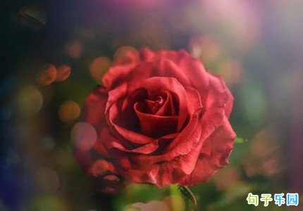 �յ����͵�������Ȧ �յ��ʻ��ж���˵˵