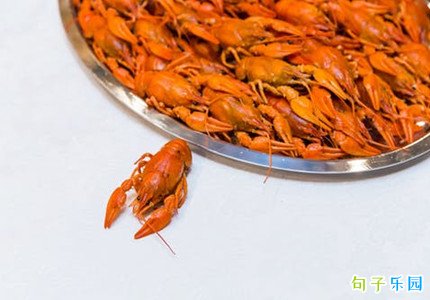 小龙虾怎么发朋友圈文案 晒和姐妹吃小龙虾的文案