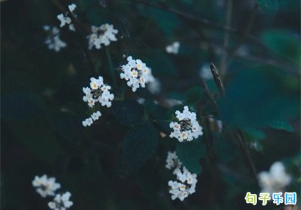 ��������δ�����ڵ��İ� ףԸδ�����ڵ�С�ڶ̾�