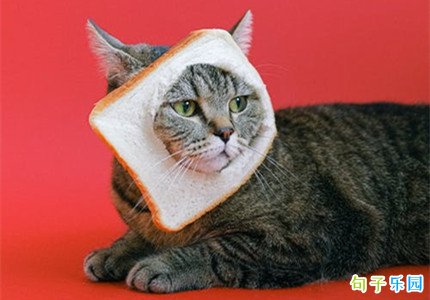 �����İ�������� ���õĶ̾�