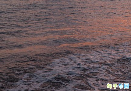 ľ�ĵľ������� ľ�������ľ�������