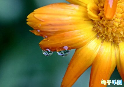 热爱生活热爱自己的文案 保持热爱生活的说说