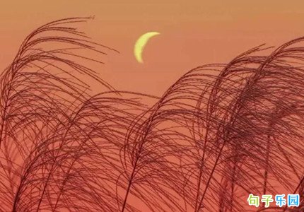 �ŷ�ʫ�������̾� һ����Ⱦ�Ĺŷ��ɾ�̾�