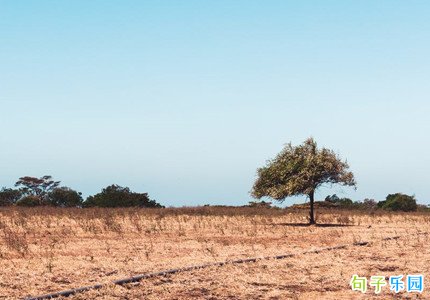 �簲��΢���İ� �簲���İ�