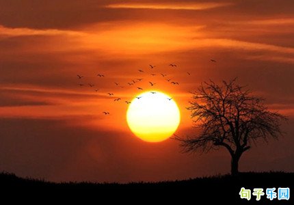拍日落的文案 关于日落夕阳的短句文案