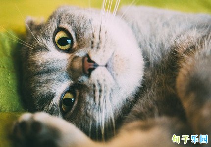 Խ��Խ����С�ɰ��İ�