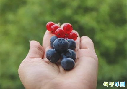 ������йصļ�̾��� ���մ����İ�