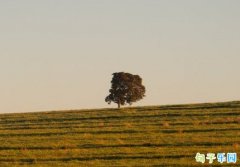 ���������������Ŷ̾��� �������������ŵ�˵˵