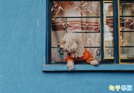 容易上热门的文案简单短句