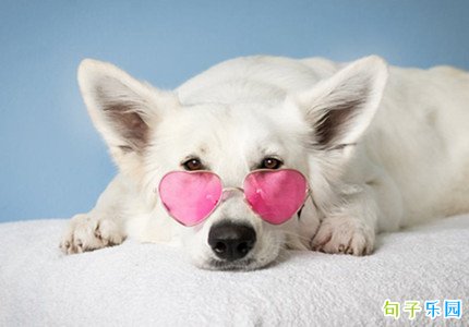 ��Ϧ������˵˵���� �ʺ���Ϧ���������ľ���