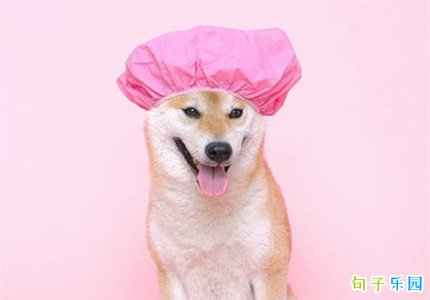 ��ʲô��̬�����˸�Ц