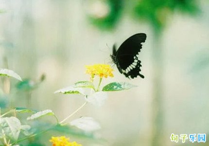�Ƚ�������ĸ���ǩ���ŷ�