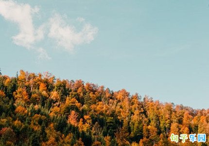�����İ������� ����������İ��̾�