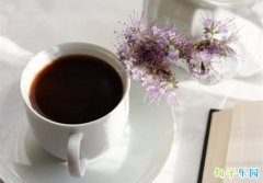 ����ÿ���簲���� ����ÿ���簲һ�仰