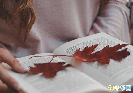 �＾�̾��İ� ����İ��̾�����
