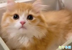 ��Ȥ������ǩ�� ����ǩ���̾�ɳ��
