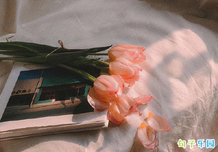 ��Ϧ�黰΢�� ��Ϧ��ϱ���黰
