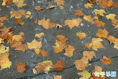 ����ף������ӷ�����Ȧ