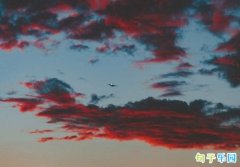 �������һ���˵��İ� ����������İ����İ�