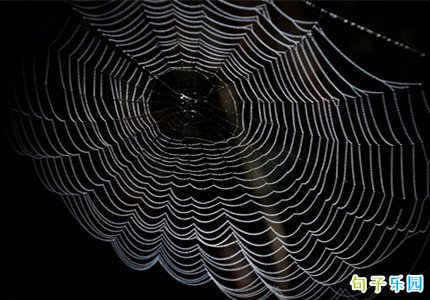 �о���������İ� �˸��İ��������