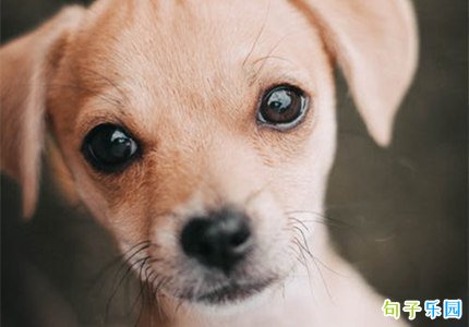 ��̿ɰ����İ� ����Ƶ�İ��ɰ�