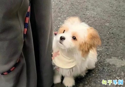 2022最红短句幽默 让人秒赞的幽默句子