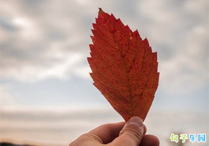 ������ů�ĵ�QQ�Զ��ظ� ����ů�ĵ�QQ�Զ��ظ�