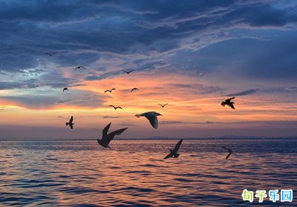 ΢���İ��̾�����������־