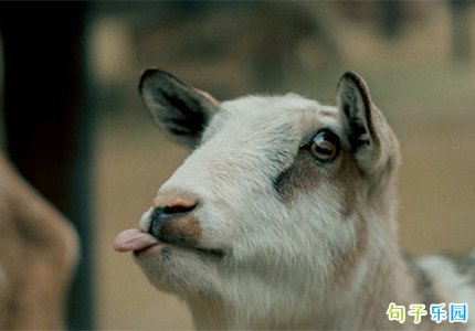 ��������Ĭ���� ����������г����