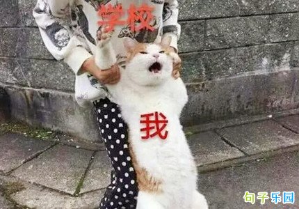 开学了搞笑短句 开学季幽默朋友圈