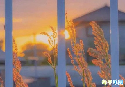 �ڴ������İ� ����̾䷢����Ȧ