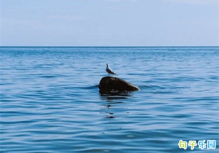�������������ŵ��˸�˵˵