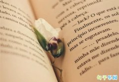 �쿪ѧ�˷�ʲô��̬ �쿪ѧ�ľ����ʺϷ�����Ȧ��