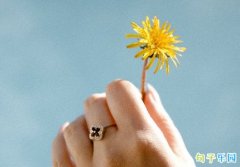 �ǳ��ɾ����ʵ�˵˵ ����Ȧ�ɾ���̵�С�İ�