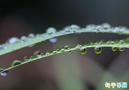 白露朋友圈说说文案大全