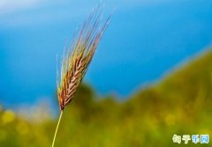 ����˵˵�İ� �����İ��̾�����Ȧ