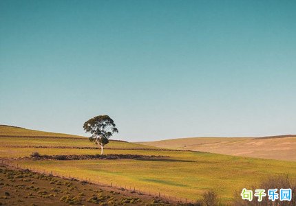 �ñ���һ�۾ͼ�ס�İ�