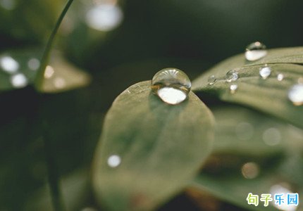 ���հ�¶�簲���� ��¶�����������ʺ���