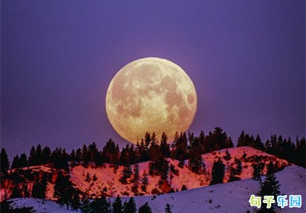 ����Ѿ��İ� ӭ������İ�