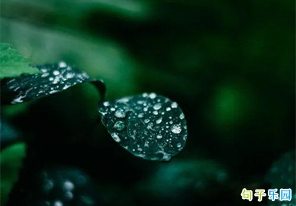 白露时节文案 白露文案句子抖音