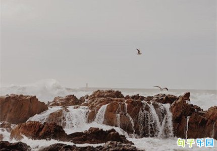 ������˵˵�̾� ���������������İ�