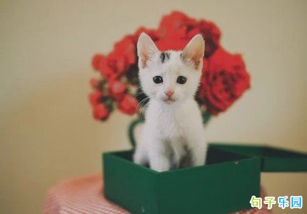 ����ŴŴ���İ� ����ǩ��Ů����Ŵ�̾�