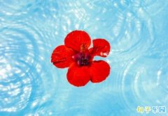 ÿ�ճ����簲�̾� ÿ�������������ʺ���
