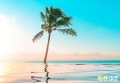 ��͸�����ľ��� ����������͸�������İ�
