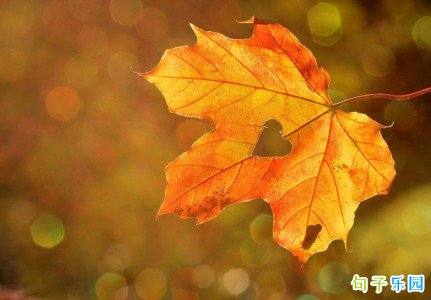 ������İ� ����ʺϷ�����Ȧ�ľ���