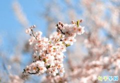 ���鱻�������İ� ������������¼