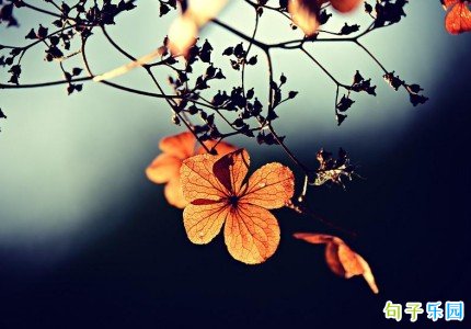 秋分发朋友圈文案短句