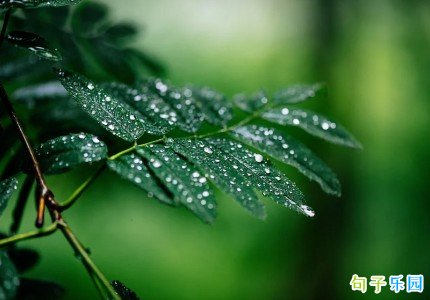 ����ͻȻ�������ܵĶ̾� ����ܲ��ʧ��ľ���