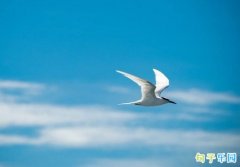 Ů��������¼�̾� ��Ů��˲�����ѵĻ�